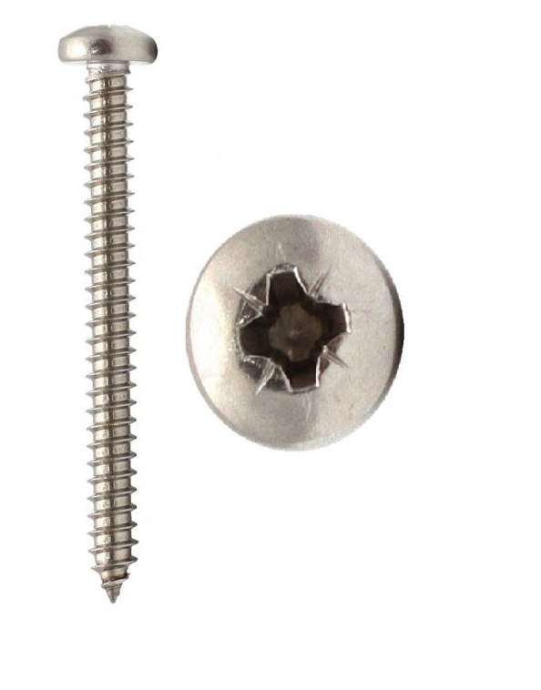 Self Tapping Screws   Pan Pozi 100's