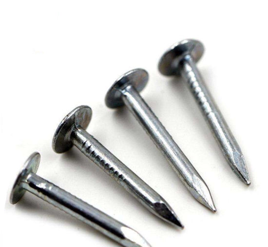 Nail Clout Box Big Head 1kg